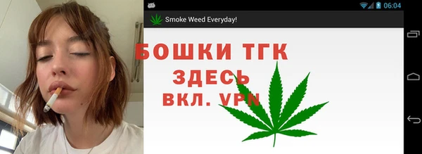 гашик Арсеньев