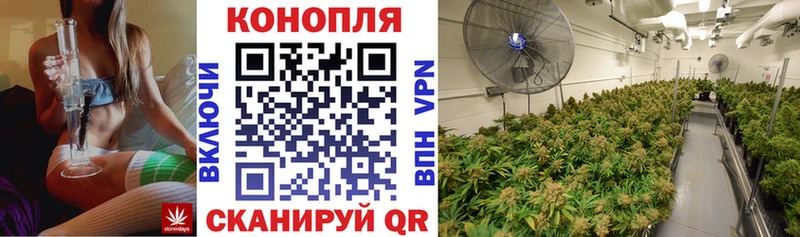 сколько стоит  Оленегорск  hydra   Каннабис ГИДРОПОН 